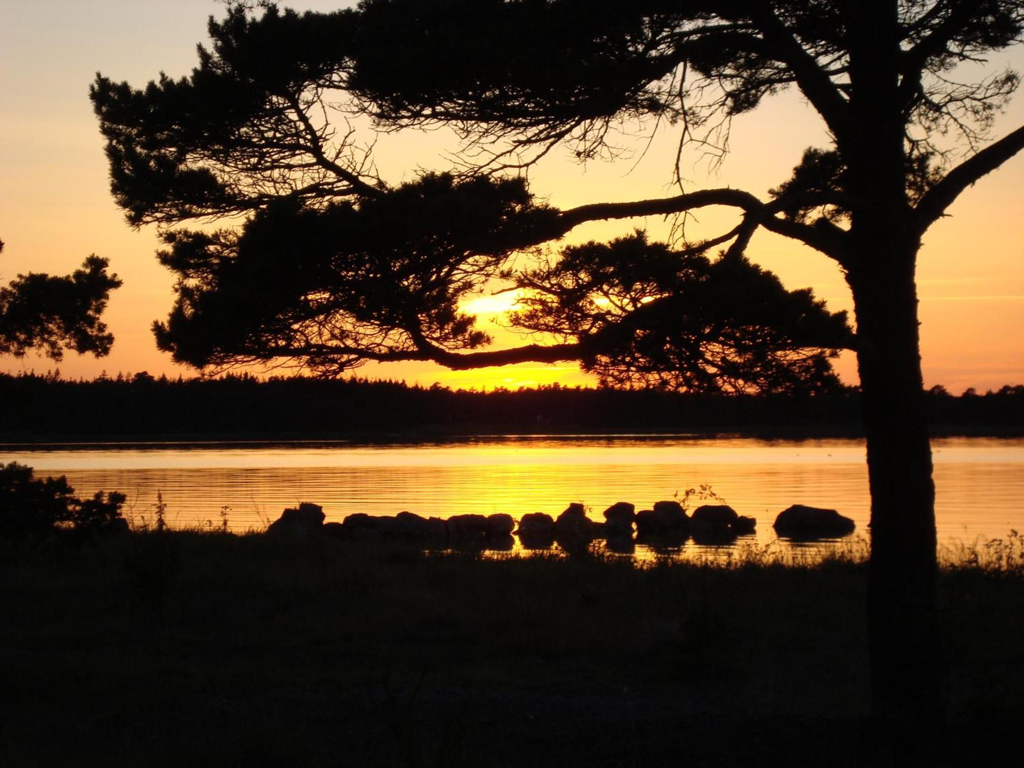 Gotlands Idrottscenter Vandrarhem Fårösund Pokoj fotografie